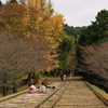 色づき始めた紅葉＊蹴上インクライン＊
