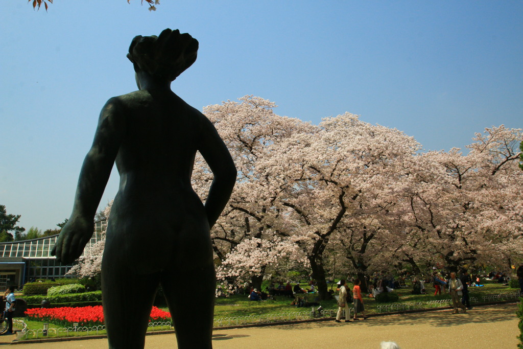 裸婦と桜