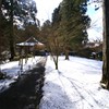 大原三千院・雪の有清園