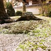 落花感傷