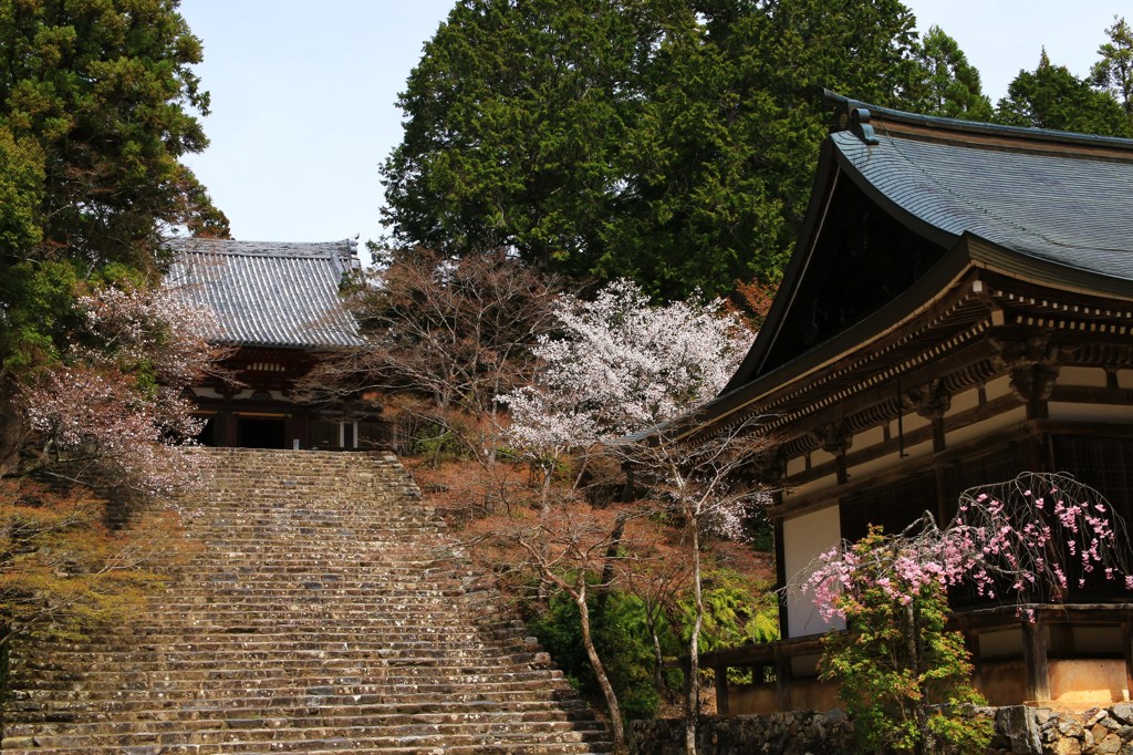 そっと彩り