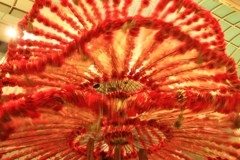 踊る☆花傘