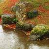 雨の晩秋