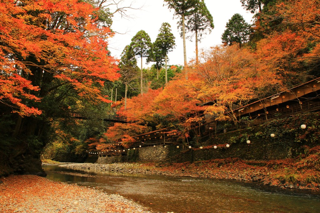 高雄・紅葉を映し流れる清滝川