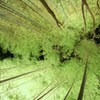 空を見上げて一年を振り返る