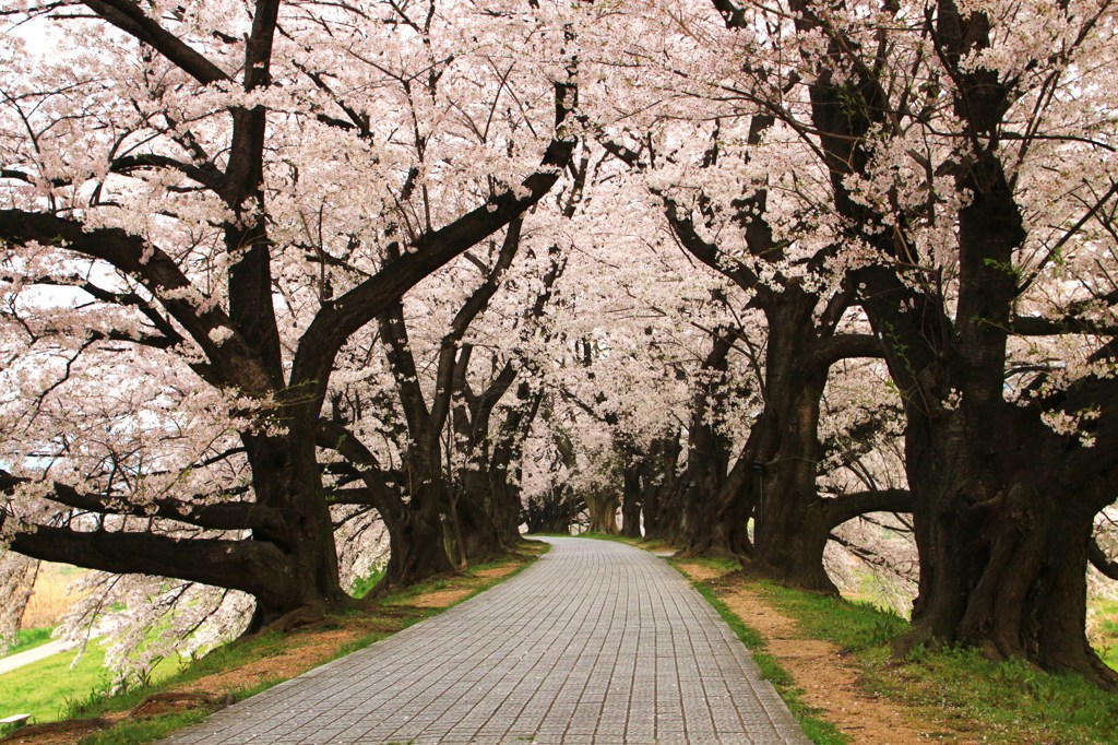 この先には何が・・・？