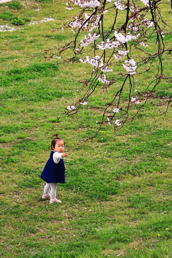 皆と一緒に遊びたい♪