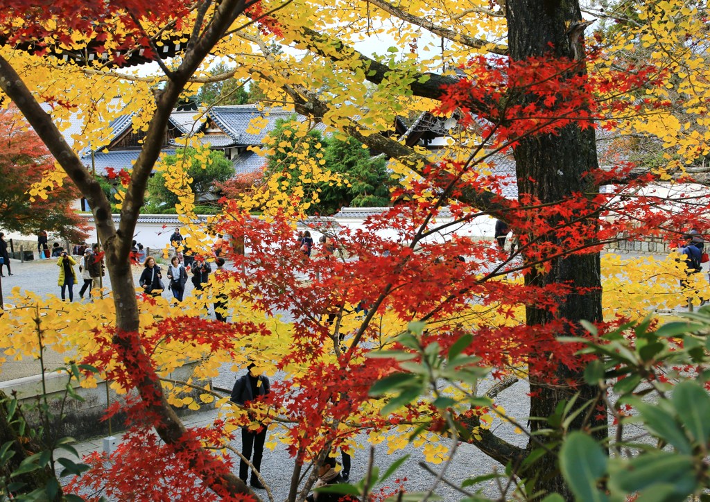 南禅寺・赤と黄のフィルター