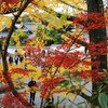 南禅寺・赤と黄のフィルター