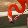 パイプが詰まったかな？