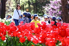 楽しい令和に