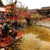 みんなの願い