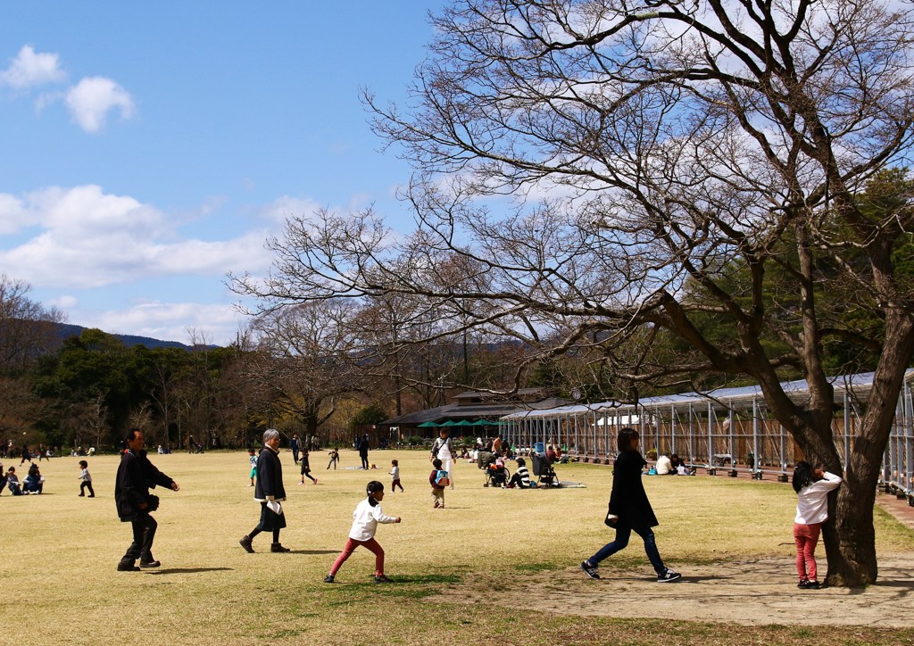 だるまさんがころんだ！