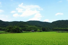 田園風景