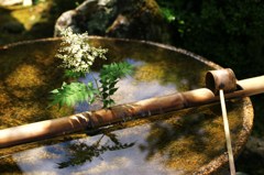 水音の宴
