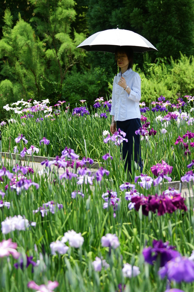 華迷子