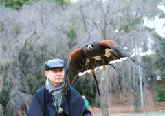 獲物を狙ってＧＯ！