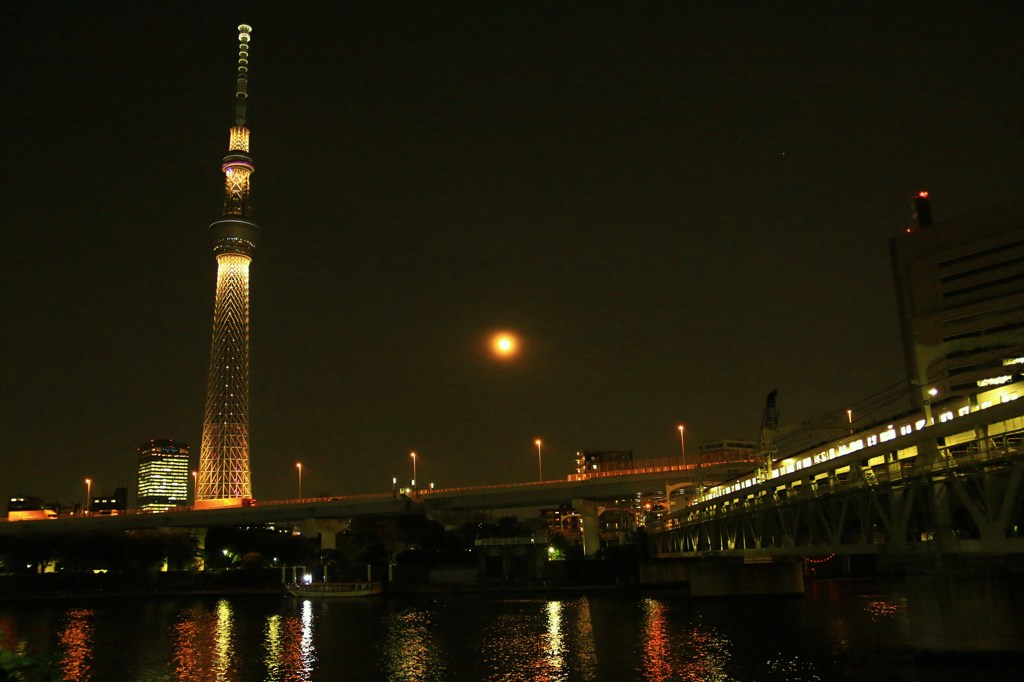 隅田川夜景