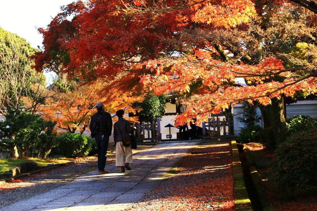 紅葉の参道で愛でる