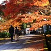 紅葉の参道で愛でる