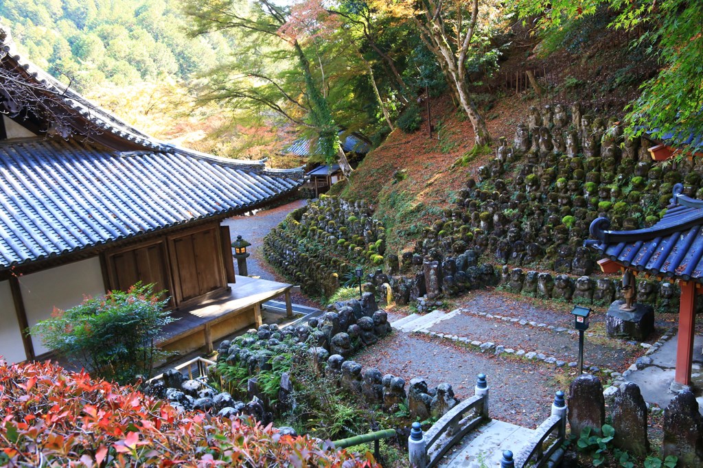 晩秋の羅漢