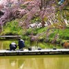 ひねもすのたり