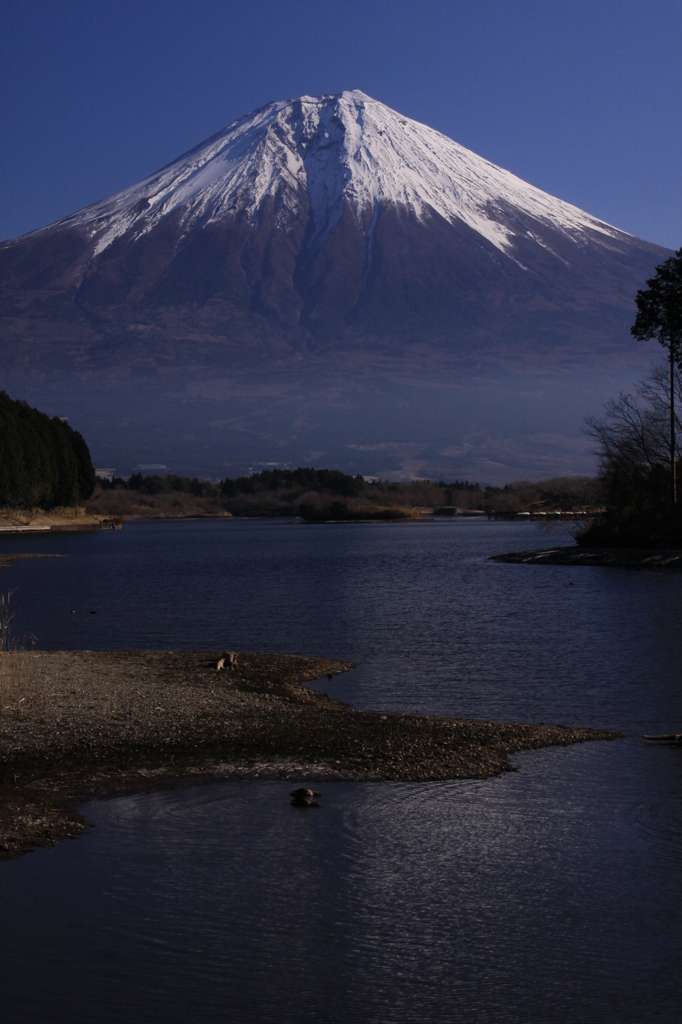 富士山＠田貫湖