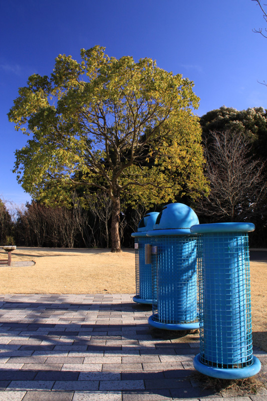 ゴミ箱と立ち木