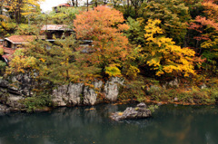 飛騨高山の紅葉