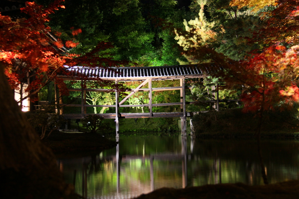 京都のライトアップ＠高台寺②