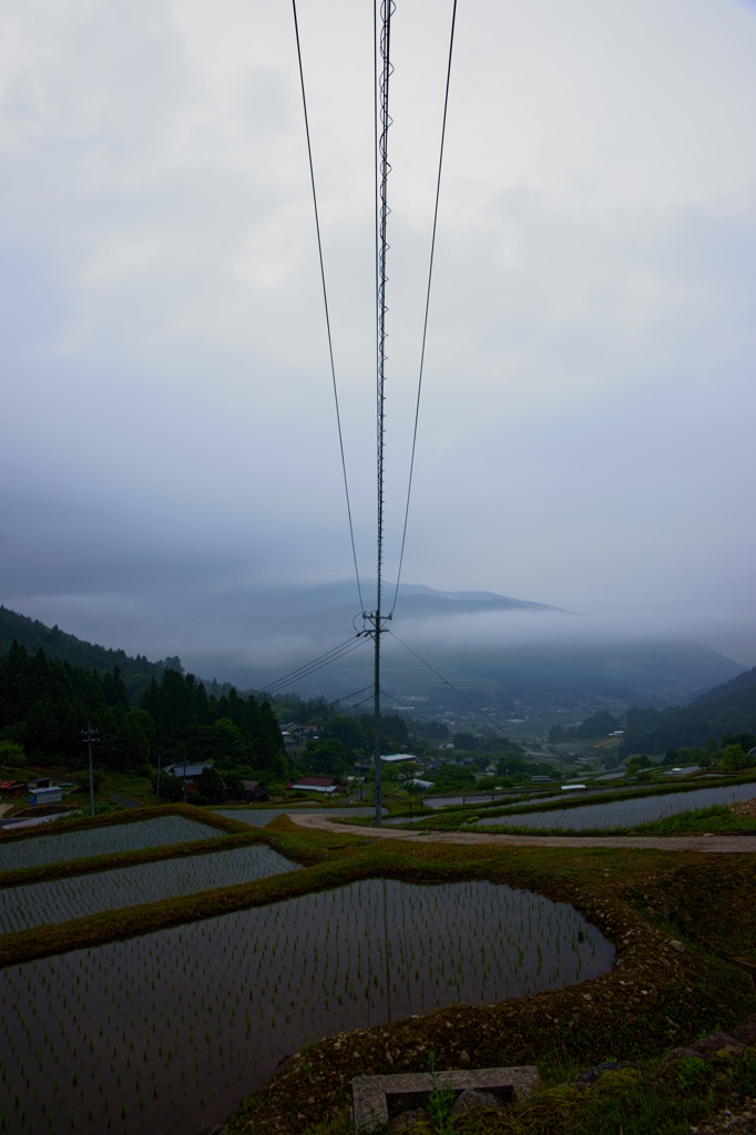 棚田風景