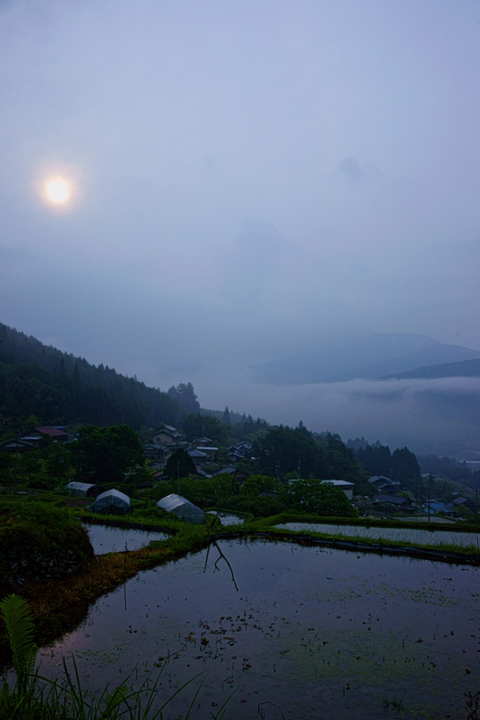 棚田朝日