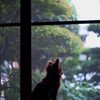 雨の日はきらい