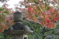 日本庭園ゾーン