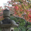 日本庭園ゾーン