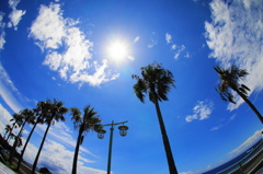 志原海岸2