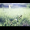 タイトル未定