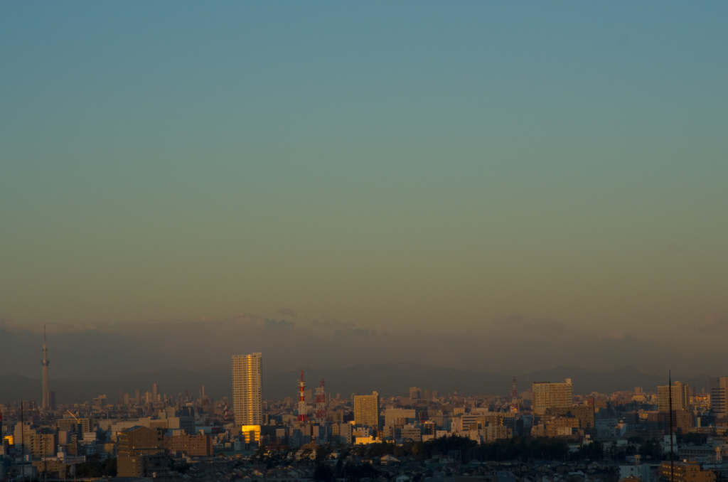 スカイツリーが見えるこの景色