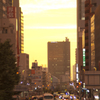 黄昏時