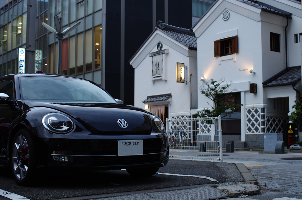 the beetle