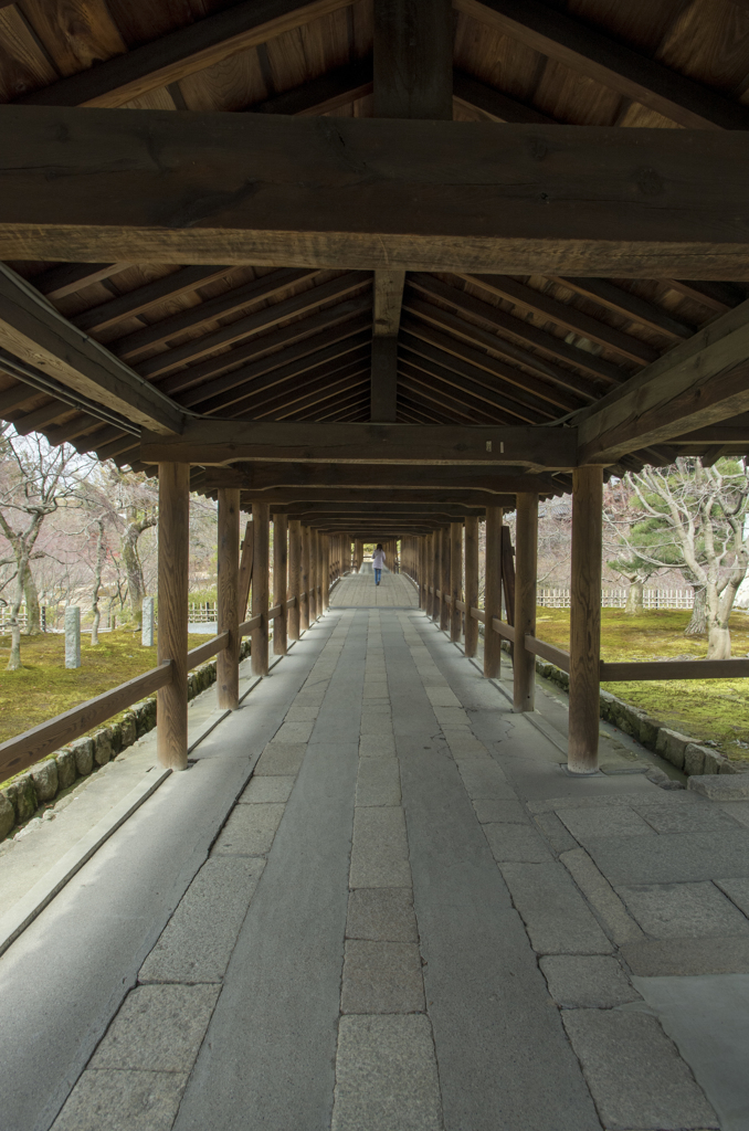 京都っぽいの