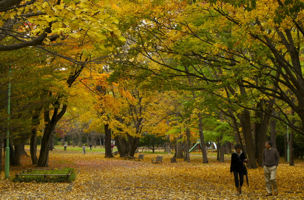 円山公園