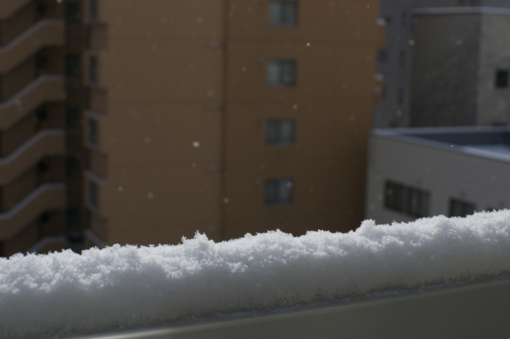 札幌のキラキラ☺