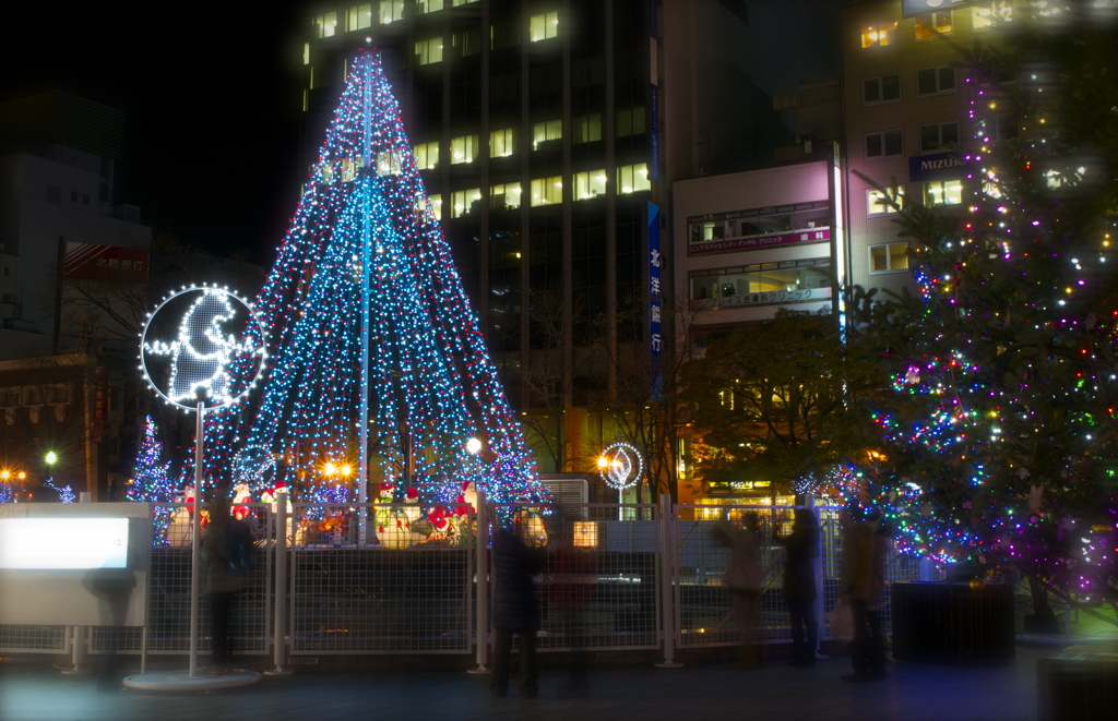 クリスマスに色づく札幌