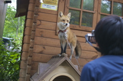 キラーン！