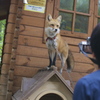 キラーン！