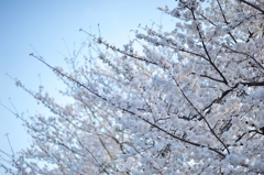 like snow