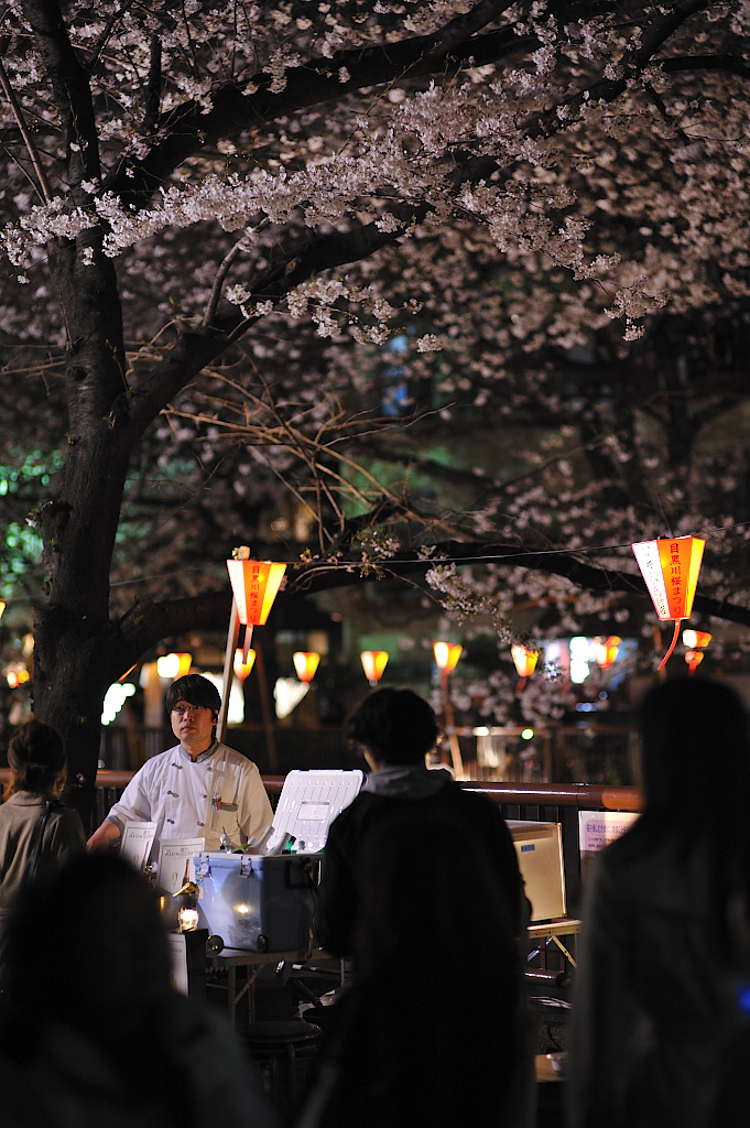 夜桜、目黒川。
