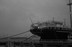 YOKOHAMA