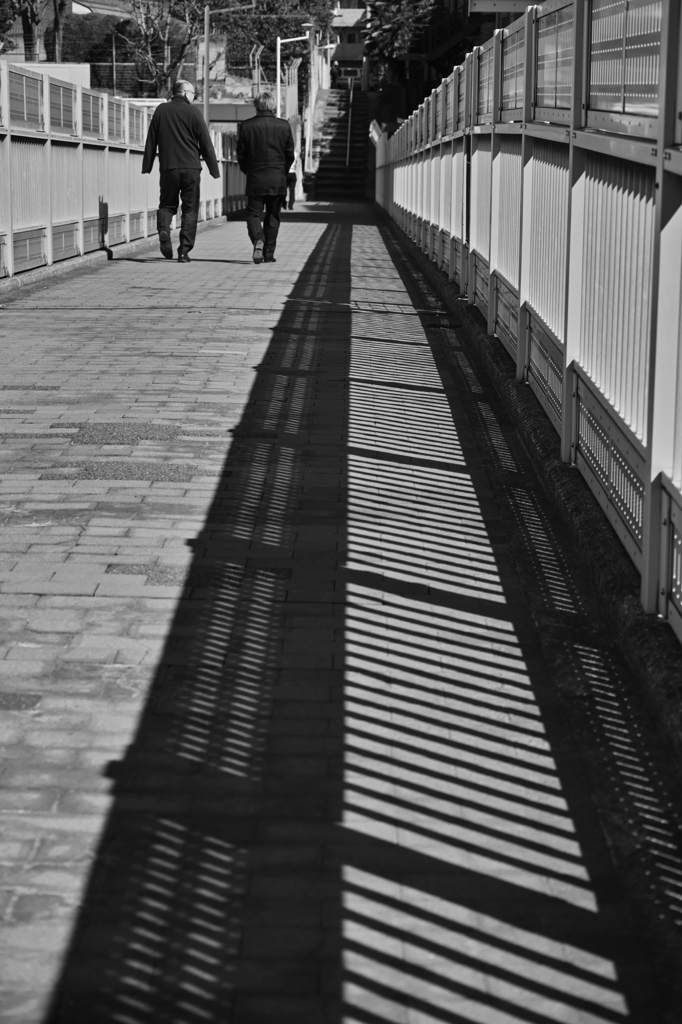 SDIM0024